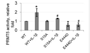 S15 phosphorylation is critical for the methyltransferase activity of PRMT5.jpg